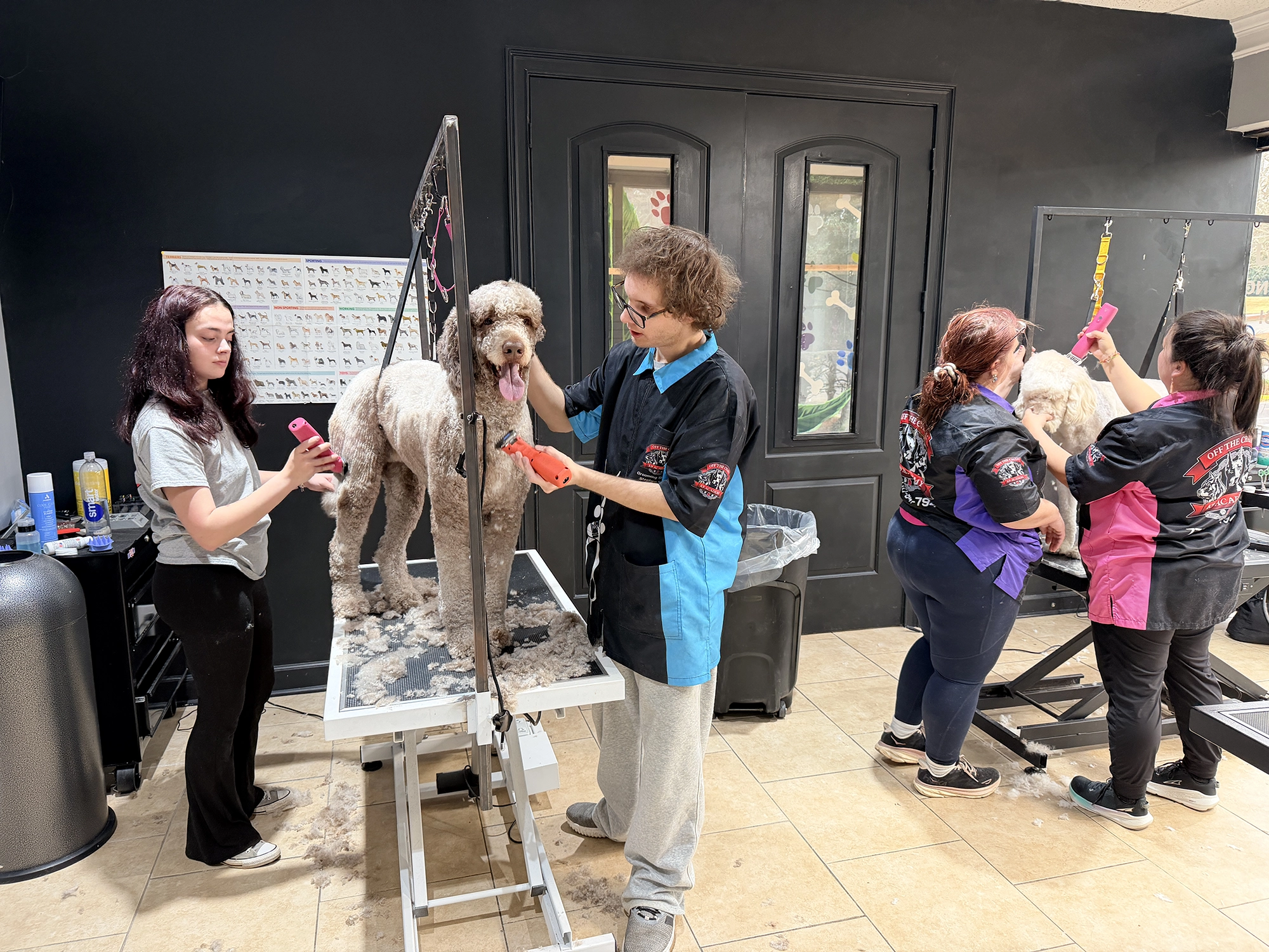 Students practicing dog grooming techniques on various breeds in a professional grooming school environment, showcasing hands-on training and real dog care.