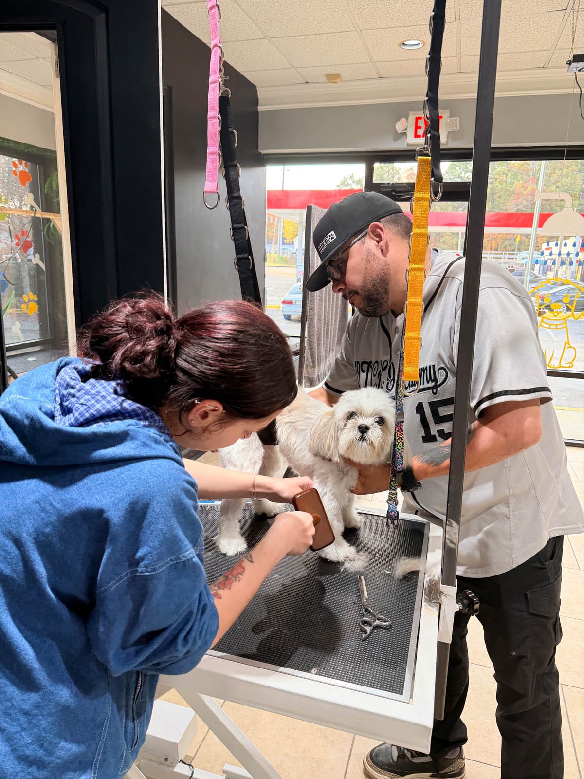 Two people groom a small white dog on a table in a pet grooming salon, using grooming tools while the dog stands still.