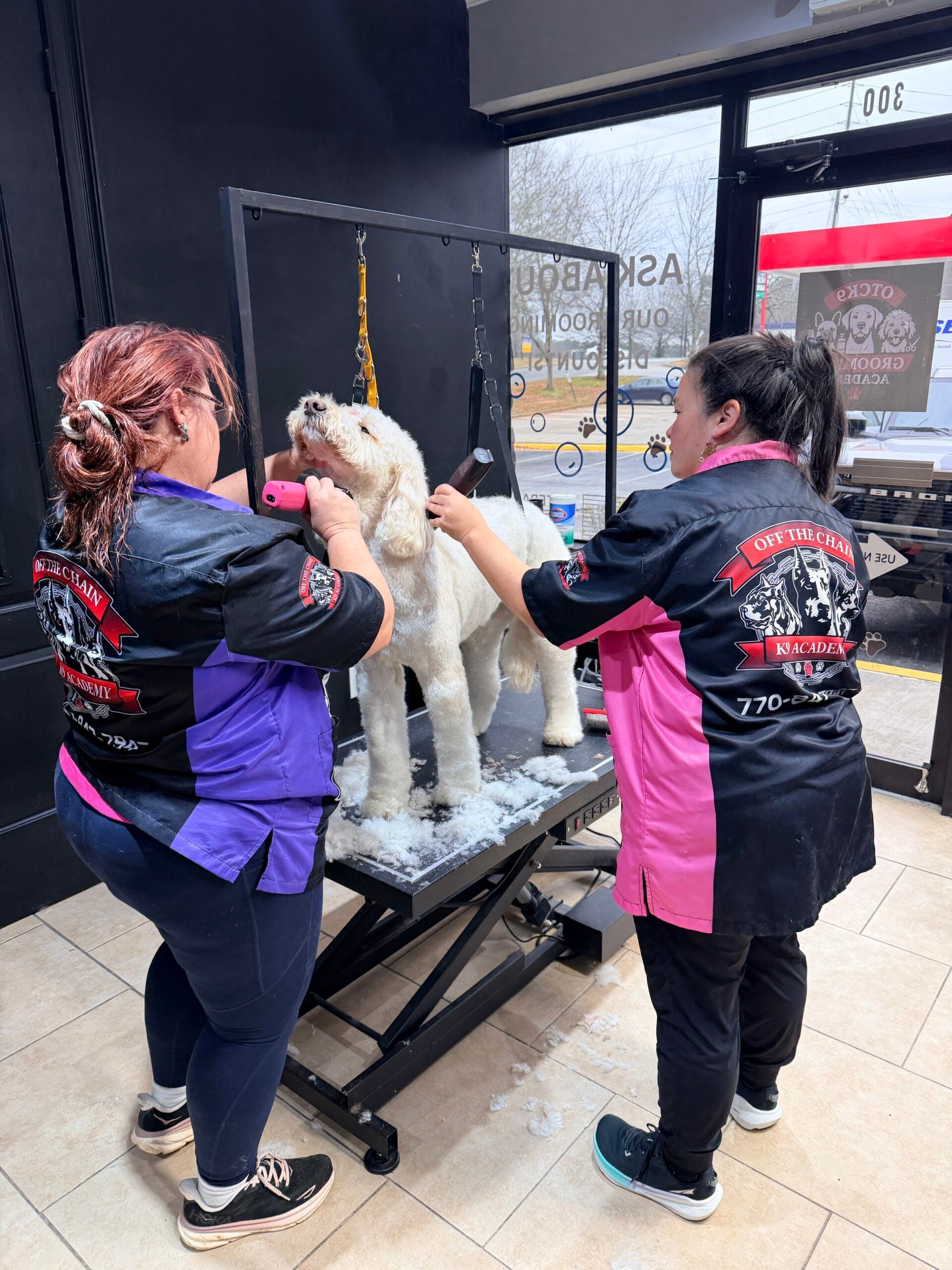 Two groomers trim the fur of a large white dog on a grooming table inside a pet salon, with clippers and grooming tools visible all about the workspace.