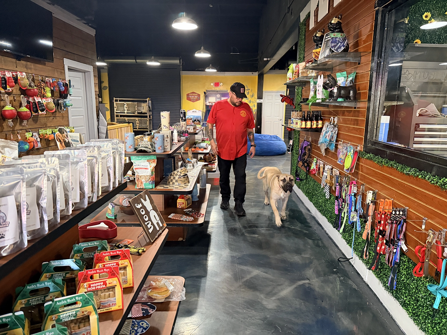 Person in red shirt walking a dog through a pet grooming school shop, surrounded by shelves stocked with dog grooming supplies, treats, and accessories.