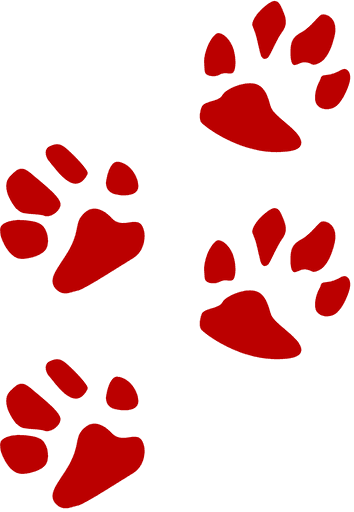 Four red animal paw prints are spaced diagonally across a light gray background.