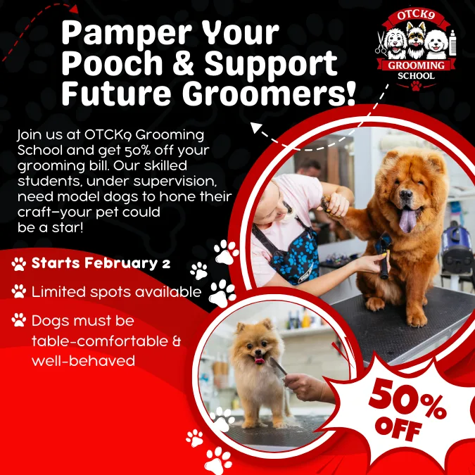 Two small dogs are being groomed by students at a grooming school. Promotional text highlights 50% off grooming services and encourages participation to support future groomers.