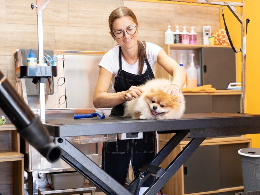 A groomer in an apron follows safety protocols while brushing a small fluffy dog on a grooming table in a pet salon.