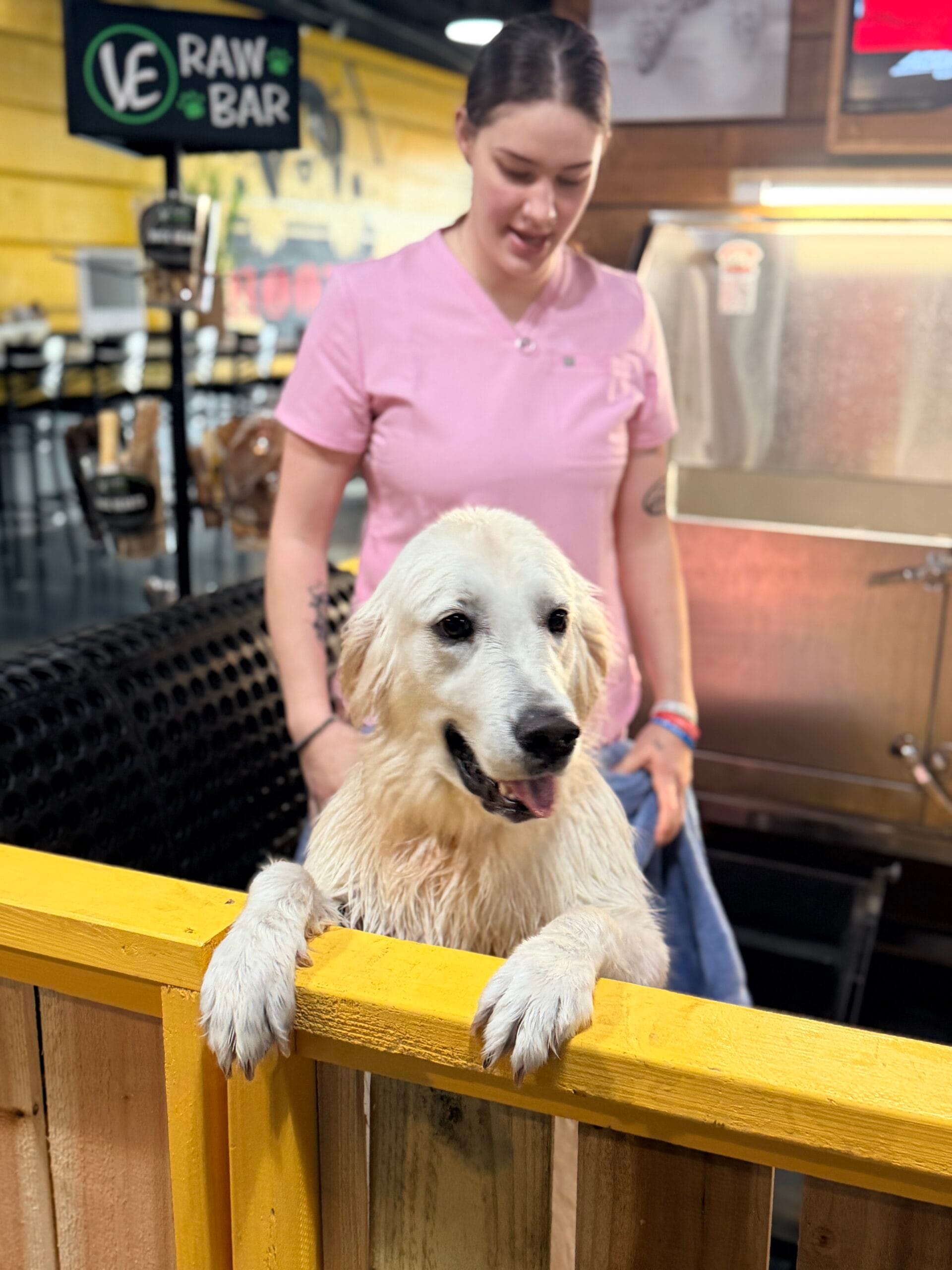A wet Golden Retriever stands with its front paws on a wooden fence at a Self Service Dog Wash Station, while a woman in a pink shirt stands behind it in the pet grooming area.