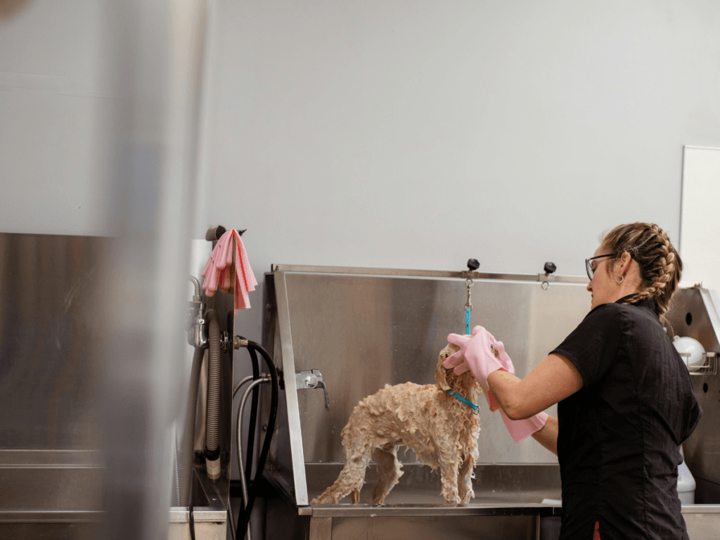 A groomer wearing pink gloves washes a small dog in a stainless steel pet bathing station, carefully using items from the grooming tools list at a professional grooming facility.