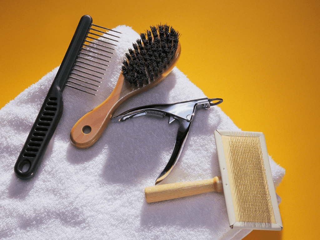 A black comb, wooden hairbrush, metal nail clippers, and a wire slicker brush—essential for salon sanitation—are arranged on a white towel with an orange background.
