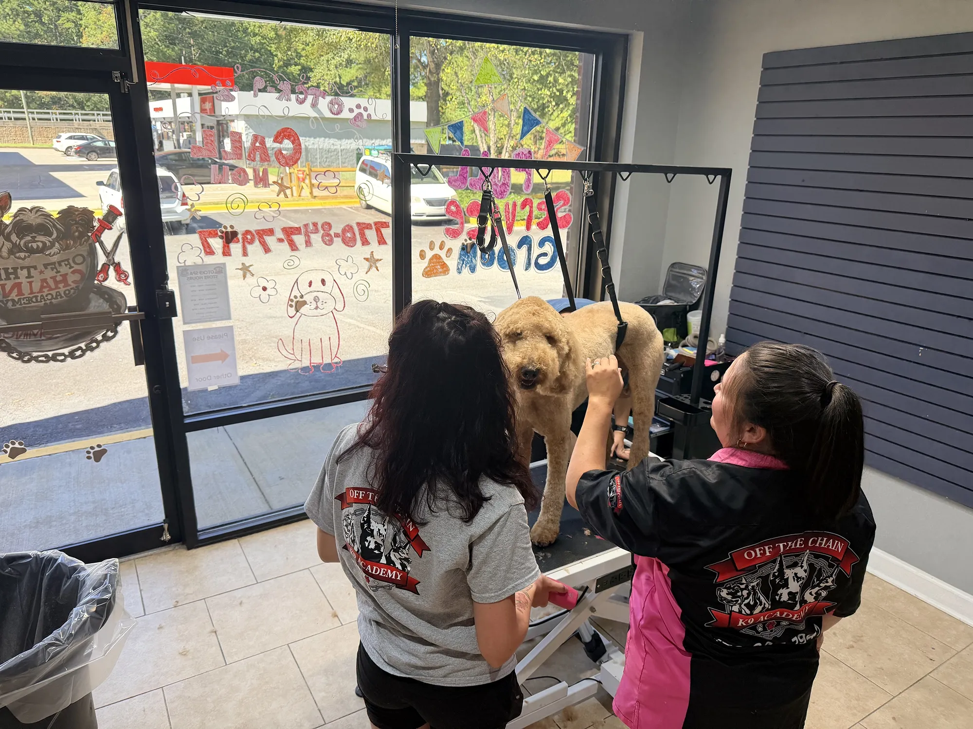 Two groomers working on a large dog at a grooming salon